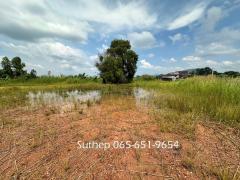 ขายที่ดินใกล้ทะเล เนื้อที่ 1-3-38 ไร่ ใกล้ถนนสุขุมวิทและหาดแม่รำพึง 1 km   ตะพง ระยอง-202410161812061729077126549.jpg