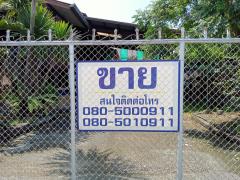 ขายบ้านพร้อมที่ดิน (บ้านสันปอแตง) ตำบลบ้านดู่ อำเภอเมือง จังหวัดเชียงราย-202410210141161729449676528.jpg