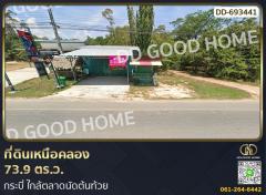 ที่ดินเหนือคลอง 73.9 ตร.ว. กระบี่ ใกล้ตลาดนัดต้นท้วย