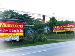 Land for investment in Thailand, 泰國投資用地, タイの投資用土地 ปักธงชัย โคราช ติด ถนน 304 นครราชสีมา-กบินทร์บุรี-202410261220101729920010086.jpg