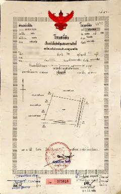 Land for investment in Thailand, 泰國投資用地, タイの投資用土地 ปักธงชัย โคราช ติด ถนน 304 นครราชสีมา-กบินทร์บุรี-202410261220131729920013379.jpg