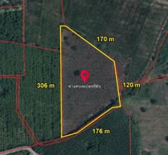 ขายที่ดินดงบัง 21 ไร่ ขายเหมา3ล้าน ใกล้สถานีรถไฟบ้านดงบัง-5กม. อ.ประจันตคาม จ.ปราจีนบุรี-202410281805401730113540102.jpg