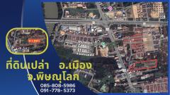 ขายที่ดินทำเลทอง 11-1-37.8ไร่ อำเภอเมืองพิษณุโลก จังหวัดพิษณุโลก-202410291035241730172924815.jpeg