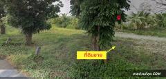 ขาย ที่ดิน ขายที่ดิน ซ.กำนันสมจิตร ตั้งอยู่ จ.นนทบุรี เนื้อที่ 2-0-80.8 ไร่ 2 ไร่ 8 งาน 80.8 ตรว-202410302055491730296549210.jpg