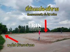 ขายที่ดิน อำเภอหนองกุงศรี จังหวัดกาฬสินธุ์ ที่ดินสวย ทำเลดี ขนาด 120 ตร.วา ราคาถูกมากๆ เริ่มต้นเพียง 129,000 บาท เท่านั้น!!-202411011101211730433681329.jpg