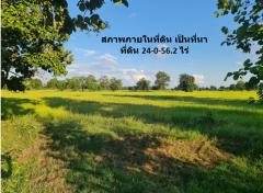 ขาย ที่ดิน ติดถนนมิตรภาพ กม.212-200 ใกล้โครงการพืชสวนโลกปี 72 อ.คง จ.นครราชสีมา เนื้อที่ 24 ไร่ 56.2 ตรว บ้านหนองบัวโคก ฟรีโอน-202411041329151730701755245.jpg