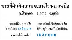 ขายที่ดินเปล่า 4-0-0ไร่ ติดถนนซ.บางโรง-นาเหนือ ผังเขียว ไร่4.5ลบ.