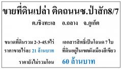 ขายที่ดินเปล่า 2-3-45.9ไร่ ติดถนนซ.ป่าสัก87 ผังสีเขียว