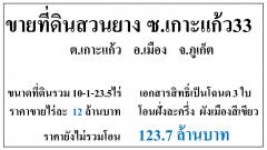 ขายที่ดินเปล่า 10-1-23.5ไร่ ซ.เกาะแก้ว33 ผังเขียว