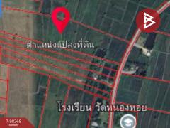 ขายที่ดิน เนื้อที่ 25 ไร่ โคกสำโรง ลพบุรี-202411051415381730790938935.jpg