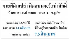 ขายที่ดินเปล่า 1-2-79.1ไร่ ซ.วัดท่าศักดฺิ์-พารา ป่าคลอก ผังเหลือง