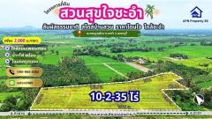 ขายที่ดินสวน อ.ชะอำ เพชรบุรี เนื้อที่ 10-2-35 ไร่ -202411111545021731314702500.jpg