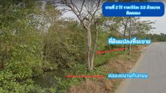 ขายที่ดิน ติดคลอง 2 ไร่ ใกล้ถนนสิริโสธร หรือถนน 314 (บางปะกง-ฉะเชิงเทรา)  ต.สนามจันทร์ อ.บ้านโพธิ์ จ.ฉะเชิงเทรา-202411140925381731551138858.jpg