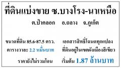 ที่ดินแบ่งขาย 85-87ตรว. ซ.บางโรง-นาเหนือ  ตรว.ละ2.2หมื่น