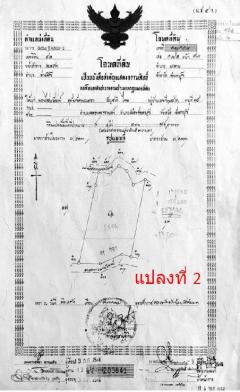 ขายที่ดิน. สวนยางพร้อมตัดได้เลย! และ ไม้กฤษณา อายุ 20 ปี-202411160836301731720990829.jpg