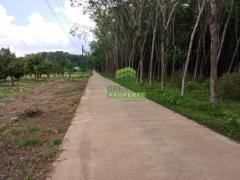 ขายด่วน ที่ดิน สวนยางพารา ทุ่งตำเสา หาดใหญ่ สงขลา เนื้อที่ 8-2-35 ไร่ แปลงใหญ่ พร้อมทำประโยชน์ ที่ดินจัดสรร เก็งกำไร-202411201423241732087404136.jpg