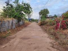 ขายที่ดินบ้านดุงอุดรธานี ขายที่ดินนาคำอุดรธานี ขายที่ดินบ้านดอนขี้เหล็ก