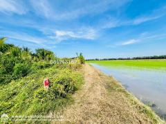 ขายที่ดิน แปลงมุม แถมบ้าน 1 หลัง หนองเสือ บึงกาสาม เนื้อที่ 404 ตรว. พิกัด สกัดห้า ปทุมธานี ใกล้วัดจุฬาจินดาราม รังสิต คลอง10 -202411241153511732424031785.jpeg