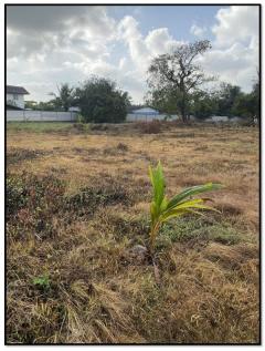 ขายที่ดิน ติดทะเล เกาะยอ อ.เมืองสงขลา 3-2-67.8 ไร่ อยู่ในย่านชุมชน ใกล้วัดท้ายยอ โทร 0632897879-202411271631421732699902779.jpg