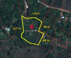 ขายที่ดินดงบัง 6 ไร่ เข้าซอยจากถนนเส้นสุวรรณศร33-1.4กม. อ.ประจันตคาม ปราจีนบุรี