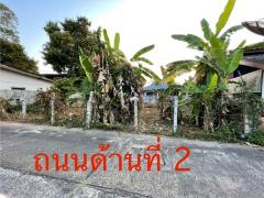 ขายที่ดิน ใกล้แม่น้ำโขง ใจกลางเมืองเชียงของ ตำบลเวียง-202412021503241733126604980.jpg