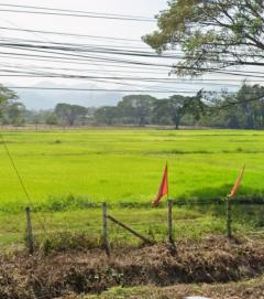 ขาย ที่ดิน ที่ดิน 51ไร่ หน้าที่ดิน ติดถนนซุปเปอร์ไฮเวย์ 170เมตร 51 ไร่ สวย วิวดี ใกล้แหล่งน้ำชลประทาน-202412021837491733139469660.jpg