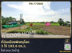 ที่ดินเมืองพิษณุโลก 3 ไร่ 183.6 ตร.ว. ใกล้ อบต.วังน้ำคู้