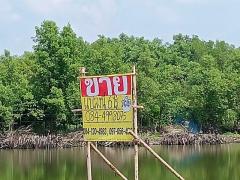 ขายที่ดินสวย ทำเลดี ติดถนนคอนกรีต เนื้อที่ 6ไร่   บ้านคลองสวน พระสมุทรเจดีย์ 