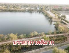 ขายที่ดิน พื้นที่ 348 ตร.ว. มี 4โฉนด อยู่เขตทุ่งกระเต็น อ.หนองกี่ จ.บุรีรัมย์-202412121601371733994097358.jpg