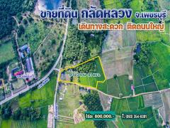 ขายที่ดินติดถนนใหญ่ ต.กลัดหลวง 9 ไร่ จ.เพชรบุรี