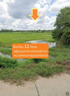 ขายที่ดินในตัวอำเภอจักราช จังหวัดนครราชสีมา ติดถนนน้ำไฟเข้าถึง-202412161749351734346175548.jpg