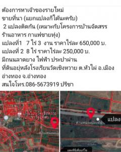 ขายที่ดินเปล่า 2เเปลง ติดกัน ทำเลทอง  อำเภอเมืองอ่างทอง จังหวัดอ่างทอง-202412170953111734403991847.jpg