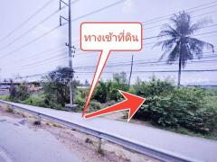 ที่ดินจัดสรรล็อคที่ 10 ถ.346 ต.หน้าไม้ อ.ลาดหลุมแก้ว จ.ปทุมธานี-202412181112261734495146235.jpg