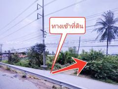 ที่ดินจัดสรรล็อคที่ 21 ถ.346 ต.หน้าไม้ อ.ลาดหลุมแก้ว จ.ปทุมธานี-202412181254351734501275758.jpg