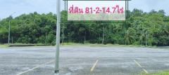 ขาย ที่ดิน ติดทะเล ติดท่าเรือ 81 ไร่ 214 ตร.วา จังหวัดระนอง-202412211113061734754386930.jpg