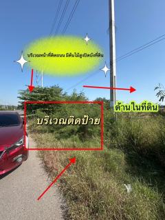 ขายที่ดิน 11 ไร่ 41 ตร.ว. ติดถนน โพธาราม-ราชบุรี-202412211231031734759063449.jpg