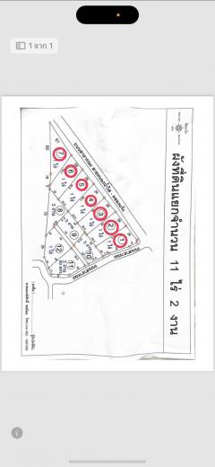 ที่ดินแบ่งขาย ทำเลดี วิวกังหันลม อำเภอสีคิ้ว-202412221228291734845309177.jpg