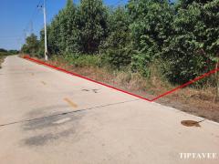 22420 ขายที่ดินวังน้อย ที่ดิน 4 ไร่ครึ่ง ลำตาเสา อยุธยา Wangnoi Land for SALE, 4.5 rai Land, Ayutthaya, THAILAND-202412241131181735014678346.jpg