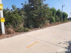 22420 ขายที่ดินวังน้อย ที่ดิน 4 ไร่ครึ่ง ลำตาเสา อยุธยา Wangnoi Land for SALE, 4.5 rai Land, Ayutthaya, THAILAND-202412241131441735014704874.jpg