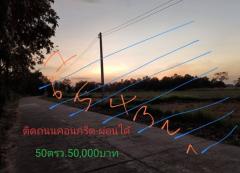 ขายที่ดินทำบ้านราคาถกๆ ขนาด50ตรว.