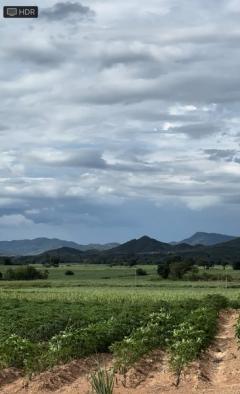 ขาย ที่ดิน หนองปรือ กาญจนบุรี ใกล้ตัวอำเภอหนองปรือ  ที่อยู่บนเนินมองวิวเขาสวย อ.หนองปรือ กาญจนบุรี-202501021341281735800088772.jpg