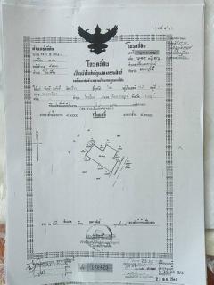 ขายบ้านพร้อมที่ดิน 2 งาน 19 ตารางวา เพชรบูรณ์ -202501042001211735995681896.jpg