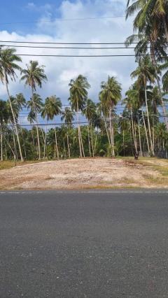 ขายที่ดิน 148 ตรว. ใกล้หาดขนอม 300ม. ใกล้โรงแรมและรีสอร์ทหลายแห่ง ถนนลาดยาง อำเภอขนอม นครศรีธรรมราช-202501081025041736306704072.jpg