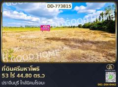 ที่ดินศรีมหาโพธิ 53 ไร่ 44.80 ตร.ว ปราจีนบุรี ใกล้นิคมโรจนะ