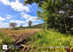 ขายที่ดิน 6 ไร่ 55 ตร.ว. วิวสวยบนเนินหลังติดเขา พร้อมต้นสัก, ใกล้สถานีรถไฟทางคู่ บ้านโป่งเกลือ-202501091828011736422081405.jpg