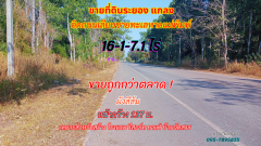 ขายที่ดินระยอง แกลง 16-1-7.1 ไร่ ติดถนนเลียบชายหาดทะเลหาดแม่พิมพ์