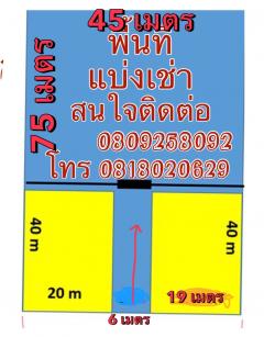 ให้เช่าที่ดินสวยเขตดอนเมือง ถนนสรงประภา แยกถนนวัดเวฬุวนาราม กว้าง 45 เมตร ลึก 115 เมตร-202501131458331736755113975.jpg