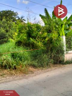 ขายที่ดิน 1 ไร่  ต.บางกร่าง นนทบุรี-202501141142371736829757865.jpg