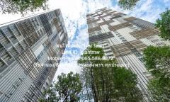 Condominium  Park Origin Phrom Phong พาร์ค ออริจิ้น พร้อมพงษ์ 30 ตรม  19500 THAI BAHT ราคาพิเศษ!