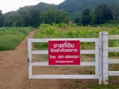 ขายที่ดินทำเลดี วิวภูเขาล้อมรอบ  เริ่มต้น 10+ไร่ ต.กลัดหลวง อ.ท่ายาง จ.เพชรบุรี 